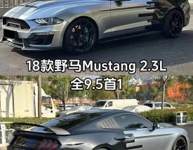 野马最新款报价及图片／野马报价及图片大全 价钱